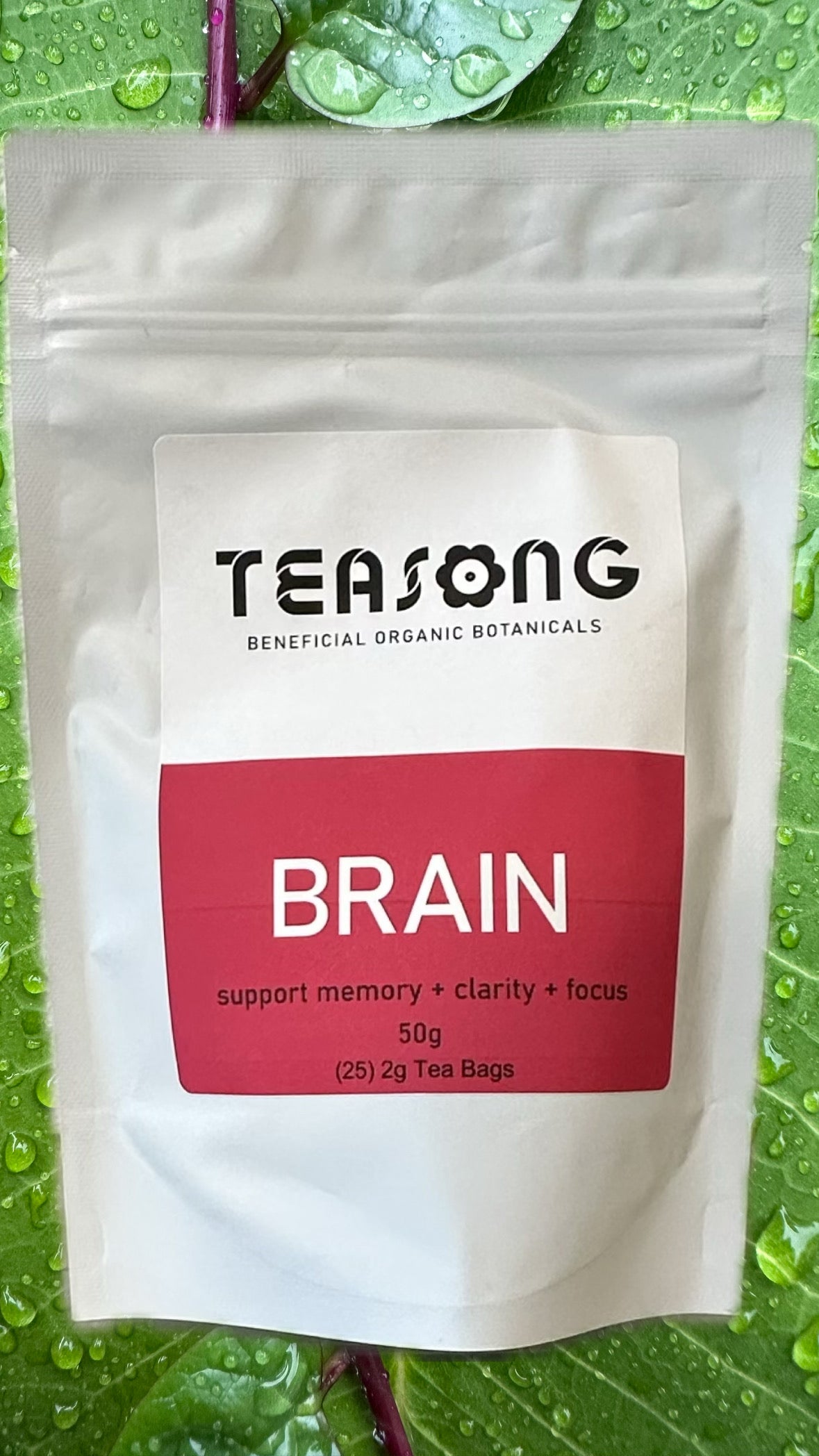 BRAIN